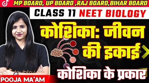 Cell Unit Of Life Class 11 Biology Neet कोशिका के प्रकार कोशिका