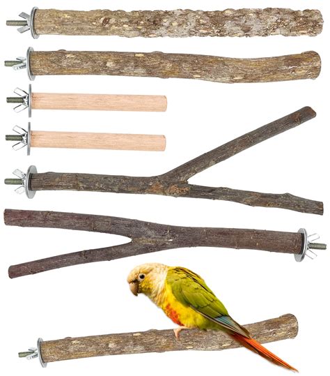 10 Best Budgie Bird Perches for Optimal Health and Comfort ...