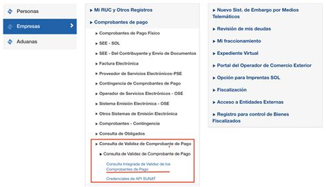 Cómo Puedo Verificar Si Los Comprobantes De Pago Electrónicos Son