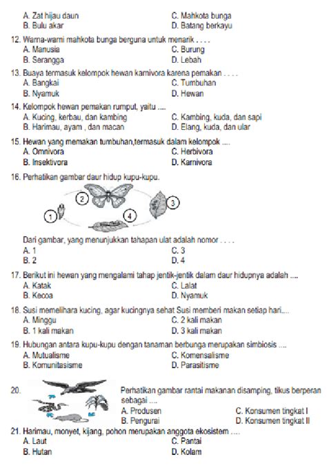 Soal Ujian Ipa Kelas 7 Semester 2 Pdf Mari Menjawab