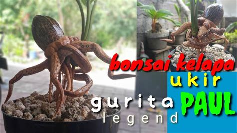 Membuat Bonsai Kelapa Batok Ukir Legenda Gurita Paul Mencengkeram