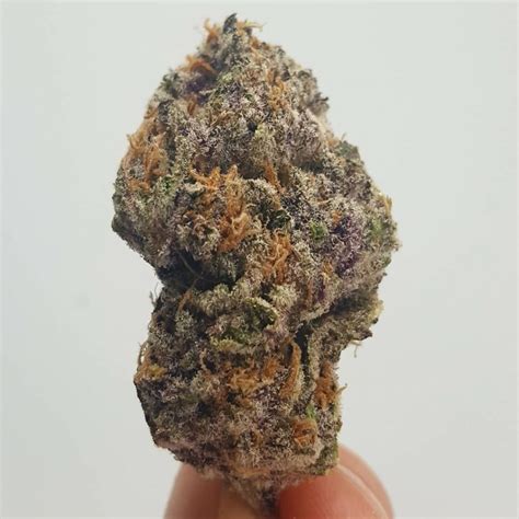 Strain Review: MAC Breath (Jelly Breath x MAC) - The Highest Critic