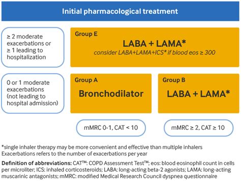 Chronic Obstructive Pulmonary Disease Copd Management Approach