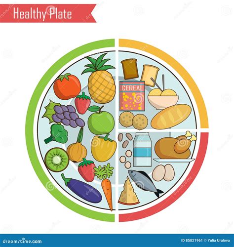 Healthy Plate Nutrition Proportions Cartoon Vector | CartoonDealer.com ...