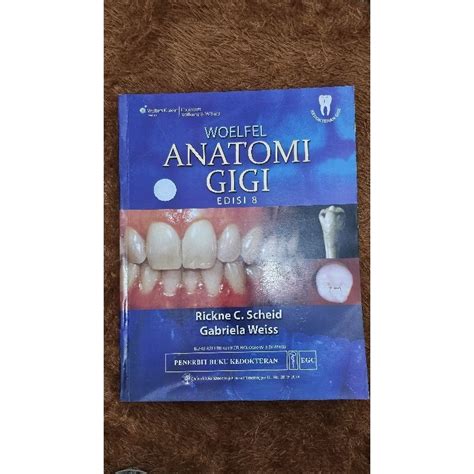 Jual Preloved Woelfel Anatomi Gigi Textbook Edisi Buku Asli Bahasa