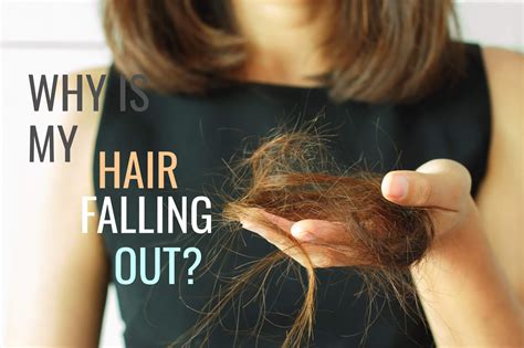 Why Is My Hair Falling Out — Hairknowhow Professional Hair Testing Services Hair Clinics