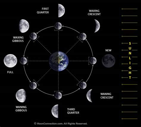 The Cool Science Dad: Lunar Phases - Misconceptions