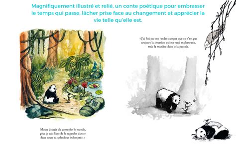 Le Voyage Grand Panda Et Petit Dragon Norbury James Amazon Fr Livres