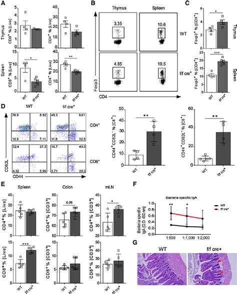 Figure 1 From GARP Dampens Cancer Immunity By Sustaining Function And