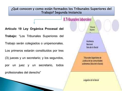 La organización y funcionamiento de los tribunales de trabajo PPT