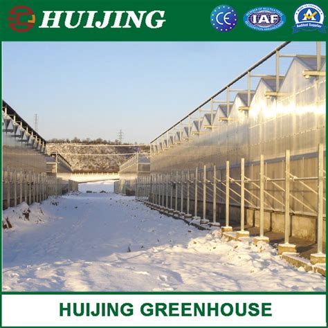 Polycarbonate Sheet Greenhouse With Venlo Multi Span PC Structure For