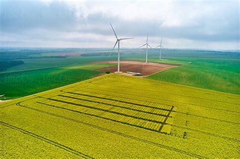 Wind Farm Canola Crop For Biofuel Energy Sustainable Aviation Fuels