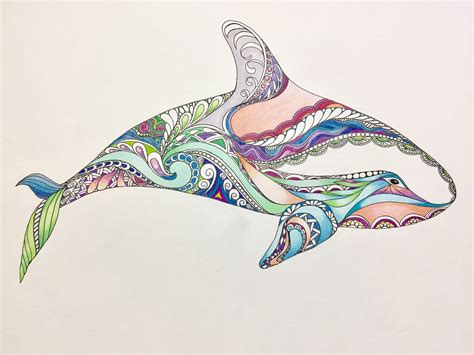 Zentangle Killer Whale, Whale Art, Killer Whale Art, Colored Zentangle ...