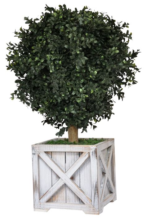 24" Tall Artificial Boxwood Shrubs, 2 Plants, Includes Angled Walnut Wooden Pots - Tin Roof ...