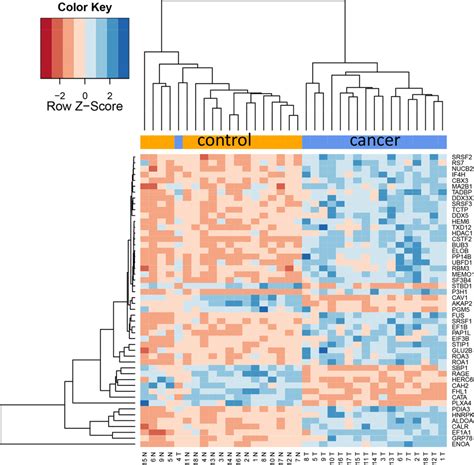 B Cluster Heat Map Of 50 Most Differentially Abundant Proteins Only Download Scientific