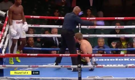 Evan Holyfield Knockout Evander Holyfields Son Wins Debut Fight With