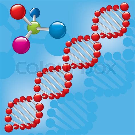 Deoxyribonucleic Acid And Molecule Stock Vector Colourbox