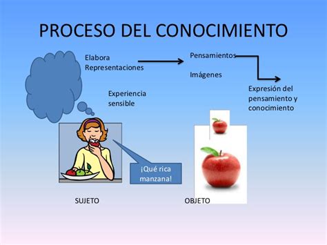 Conocimientos Metodol Gicos Proceso Del Conocimiento