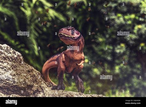 T Rex Hunting Fotos Und Bildmaterial In Hoher Aufl Sung Alamy