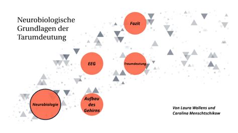 Neurobiologische Grundlagen Der Traumdeutung By Carolina Menschtschikow