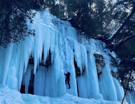 Visit Detroit’s Eastern Market This Fall