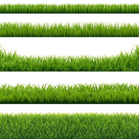 Set Green Grass Borders Copy Space Stock Vector Image By ©barbaliss 241111702