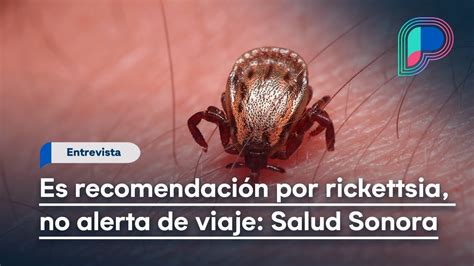 Es Recomendaci N De Eeuu Por Casos De Rickettsia No Alerta De Viaje A