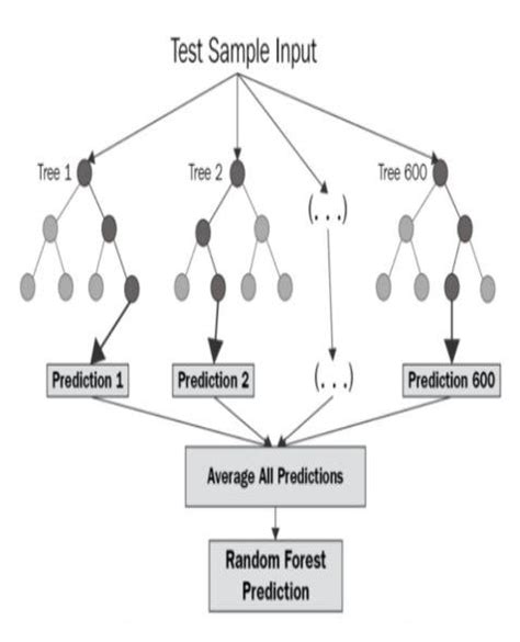 Above Diagram Shows The Working Of A Random Forest Classifier