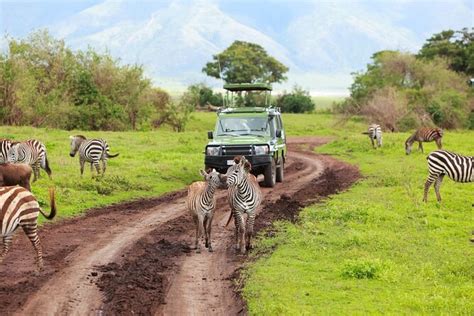 Halve Dag Tala Game Reserve En Phezulu Safari Park Vanuit Durban