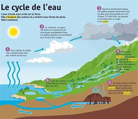 Le Cycle De Leau Cycle De Leau Le Cycle De Leau Projet Cycle De Leau