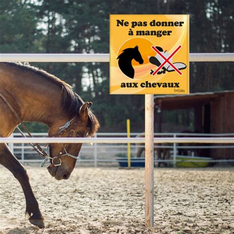 Boxprotec Panneau Ne Pas Donner A Manger Aux Chevaux