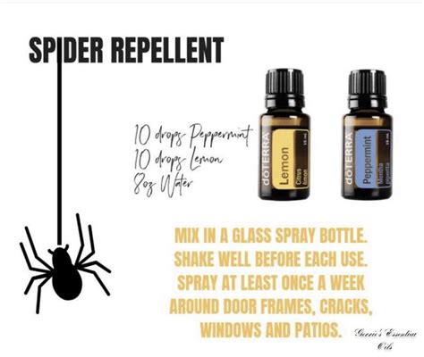 A Simple 3 Ingredient Spray That Ll Keep Spiders Out For Good Artofit