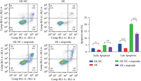 Ptprg Overexpression Activated Oxidative Phosphorylation And Inhibited