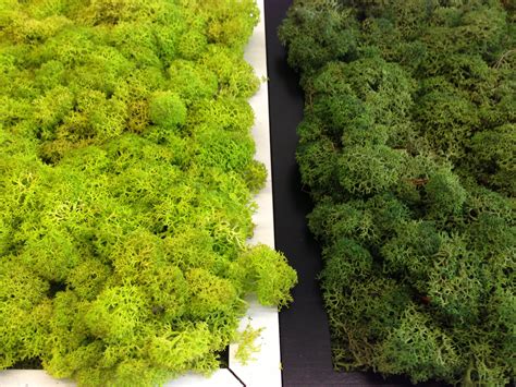 Happy Earth Day Celebrate It With These Moss Tiles From Benettistone