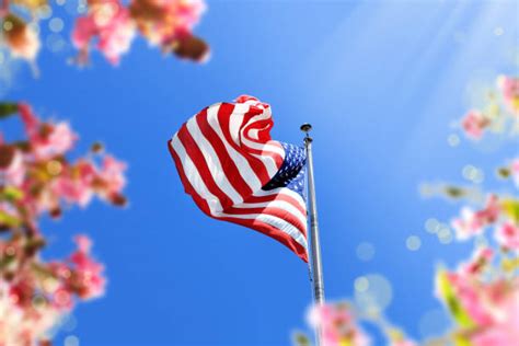 American Flag In Spring Stock Photos Pictures And Royalty Free Images