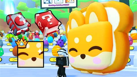 Pet Simulator 99 สดนารกกบ Titanic Shiba และ สมดใหมทอาจจะโกง