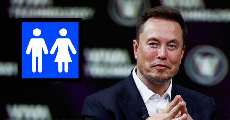 Elon Musk Advierte Que El Prefijo Cis Ser Considerado Un Insulto En