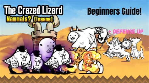 How To Beat The Crazed Lizard No Bahamut Needed Battle Cats Mammals