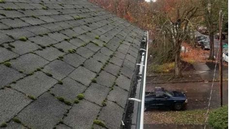 What To Do If You Have Standing Water In Your Gutters