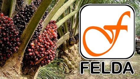 Felda Bukan Setakat Ladang Kelapa Sawit Lagi Free Malaysia Today FMT