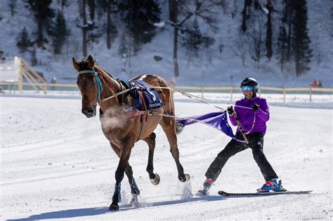 Skijoring: Ski Boots, Spurs & Horses - Your Horse Farm