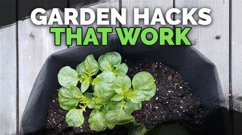 5 Gardening Tips That Actually Work Youtube