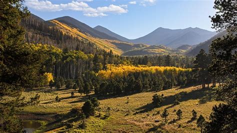 Lockett Meadow Campground Arizona Highways