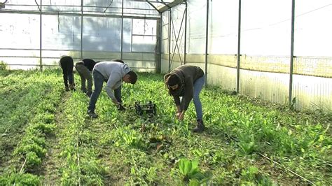 Agricoltura sociale unopportunità