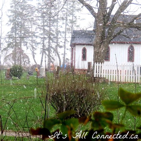 When is the season spring finally arriving for your garden? 1