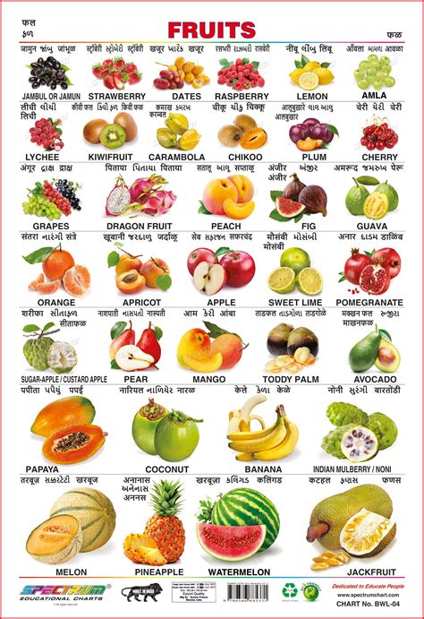 Fruit Names With Pictures In English And Hindi