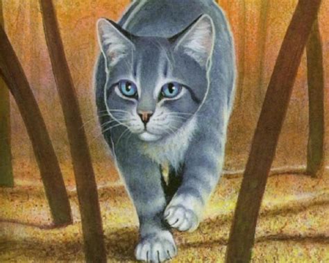 Silverstream Warrior Cats Wiki Fandom