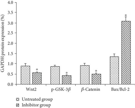 Effects Of Wnt Catenin Signaling Pathway Inhibitor Dkk On The