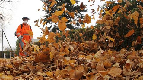 Wertstoff F R Den Garten Wohin Mit All Dem Herbstlaub N Tv De