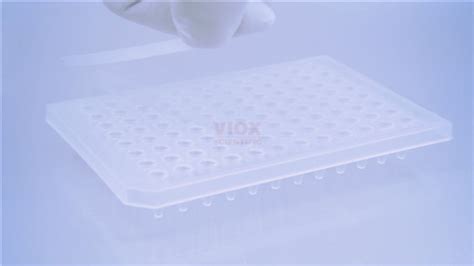 本生带您了解 pcr 耗材八联管pcr 96 孔板选择 化工仪器网